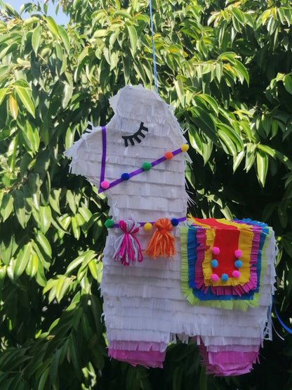 Handmade Pinata