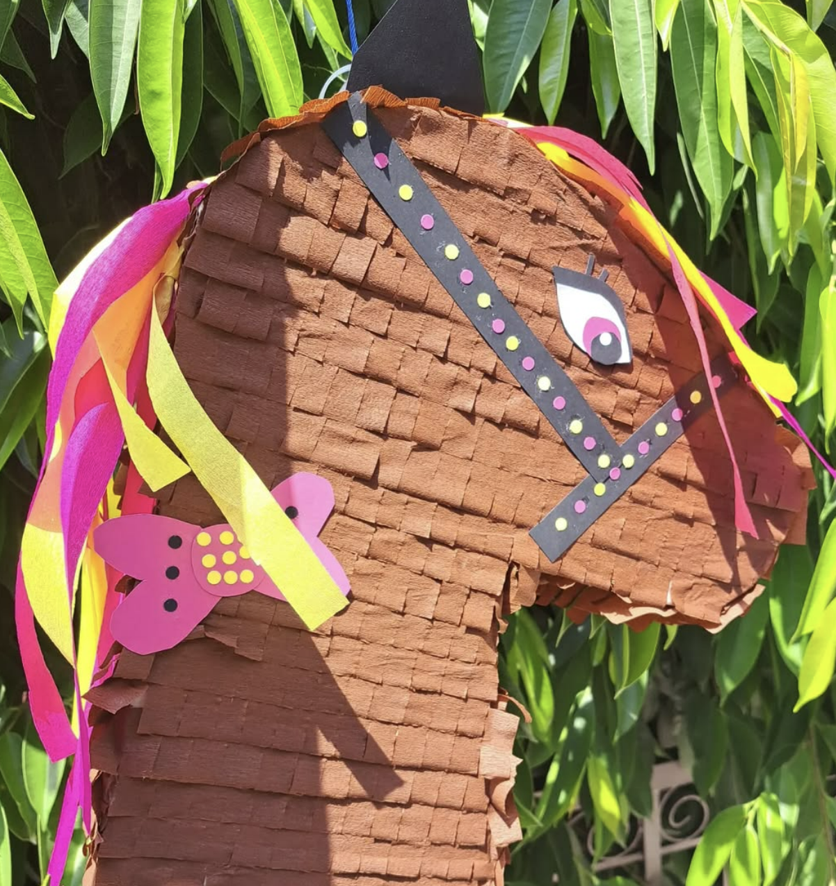 Handmade Pinata